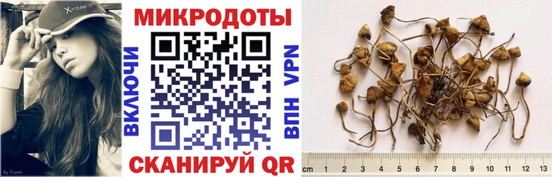Псилоцибиновые грибы прущие грибы  продажа наркотиков  kraken ссылки  Оса 