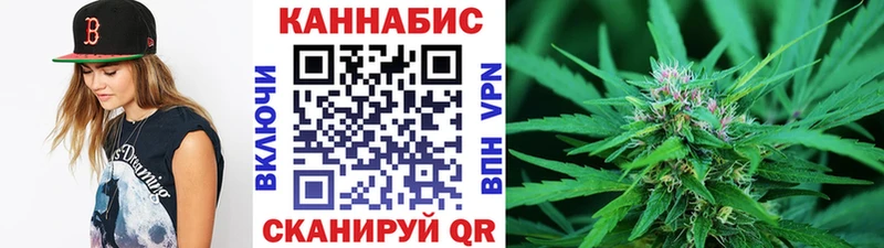 Конопля сатива  цены   Оса 